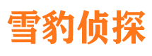 民丰侦探